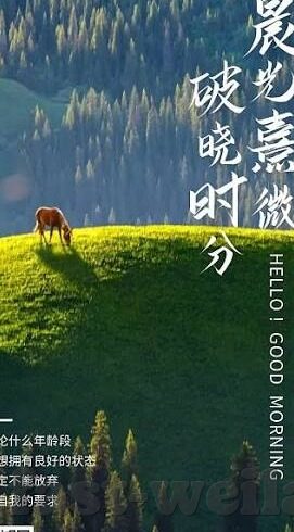 纪实比分足球-纪实比分足球，绿茵场上的数字与激情交响