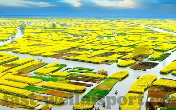 mk官网入口-MK官方网站，开启品牌与消费者互动的云端门户