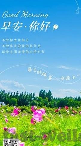 足球比分大师网站-探秘足球比分大师网站，球迷的智慧数据港湾